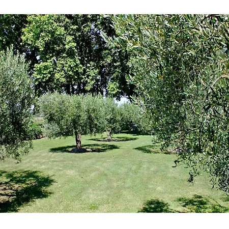 Stylish House With Heated Pool In Dom wakacyjny Lacoste (Vaucluse)